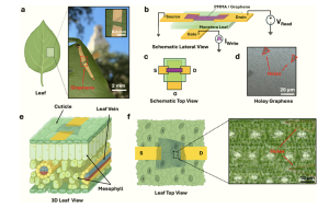 4 figures are shown, lettered a-d. From left to right, 